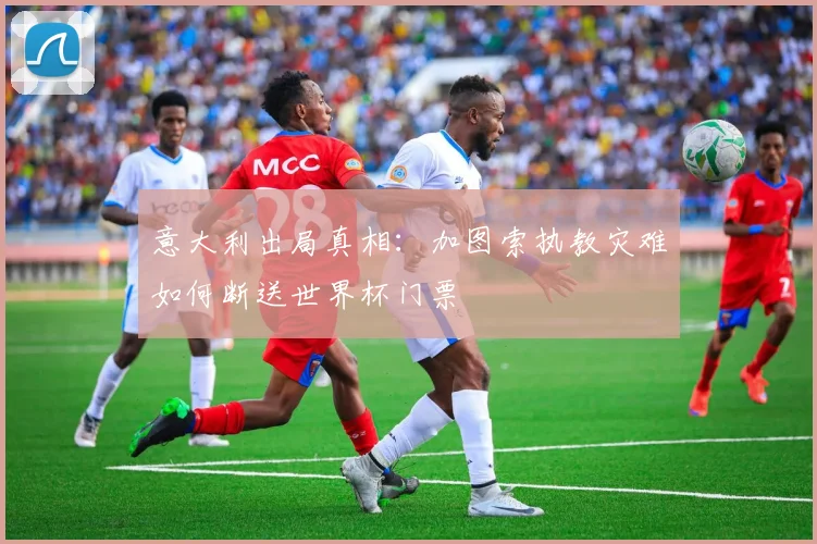 意大利出局真相：加图索执教灾难如何断送世界杯门票
